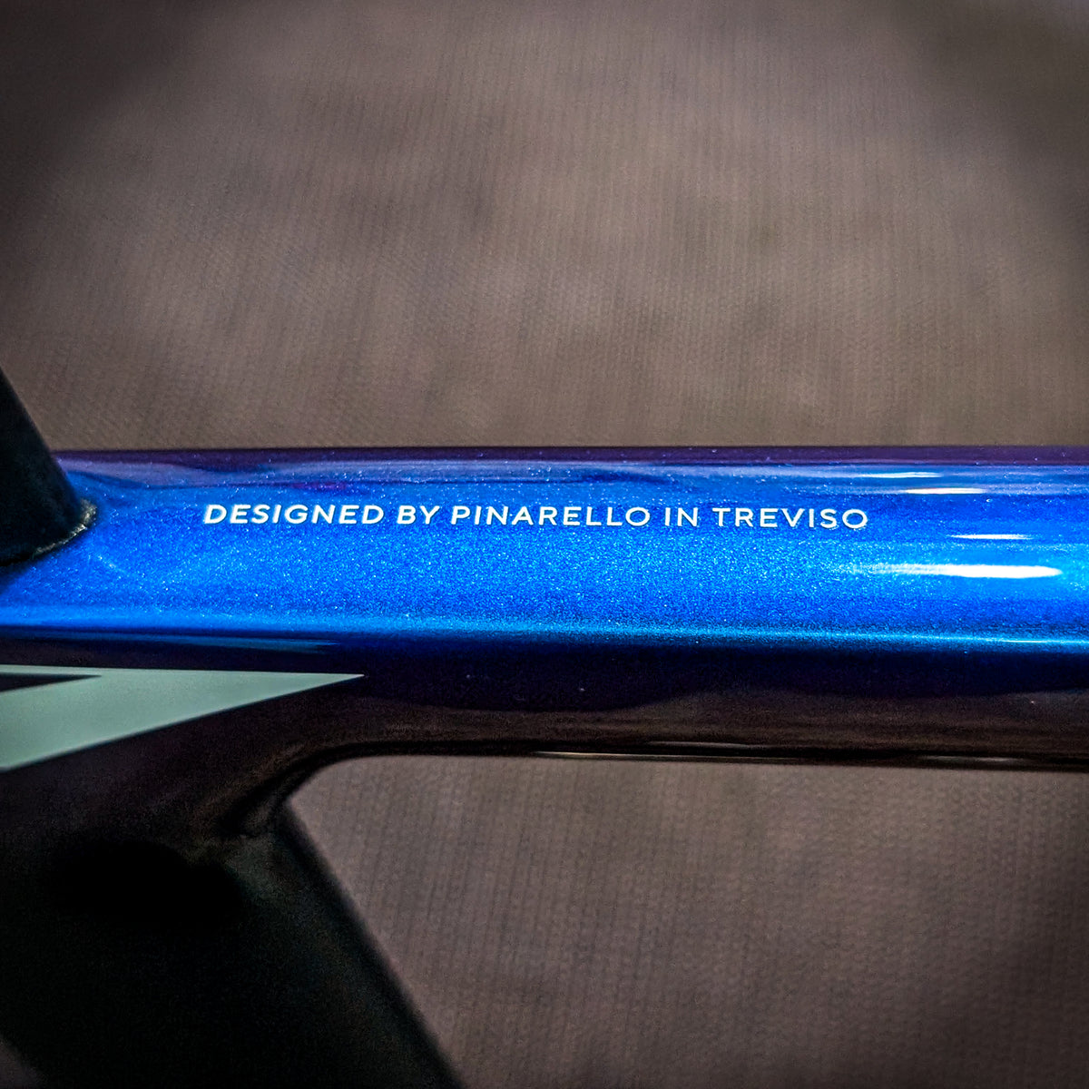 Pinarello Dogma F - Luxter Blue Shiny - Campagnolo Custom