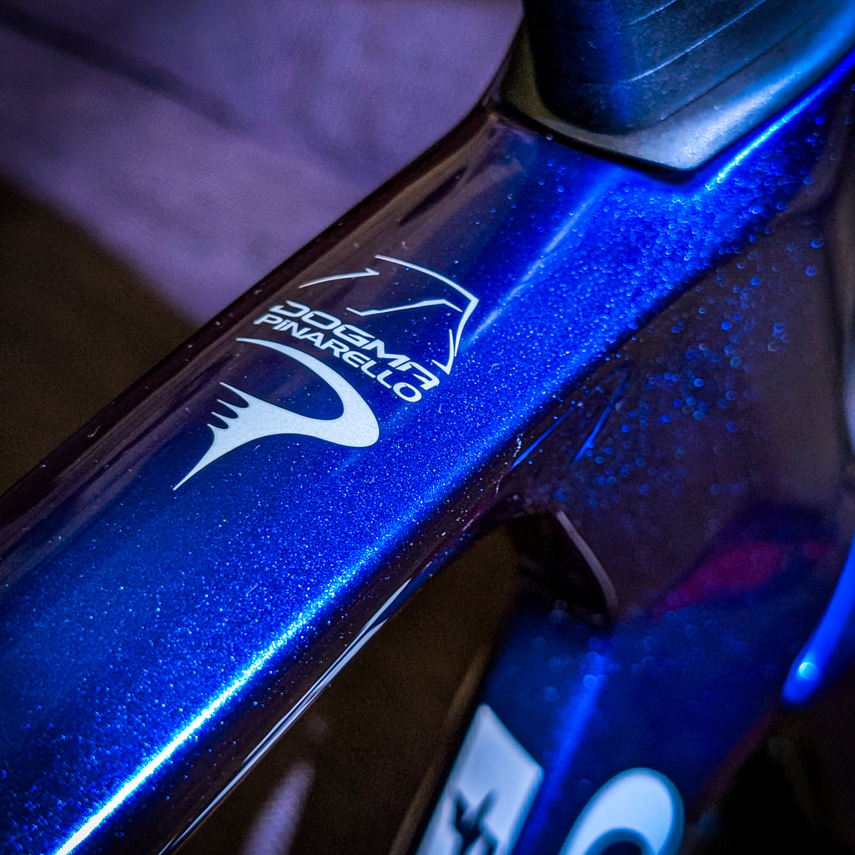 Pinarello Dogma F - Luxter Blue Shiny - Campagnolo Custom