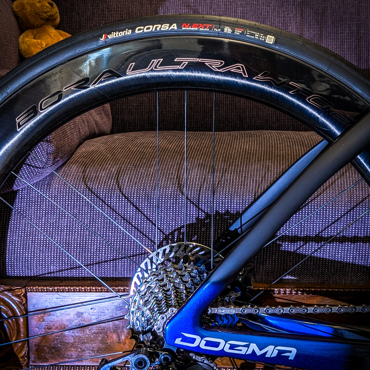 Pinarello Dogma F - Luxter Blue Shiny - Campagnolo Custom