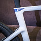 Pinarello Dogma F - Phantom Ice - Sram Red AXS / Princeton CarbonWorks PEAK